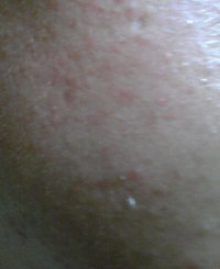 ファイル 3-1.jpg